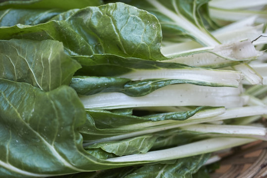 Chard