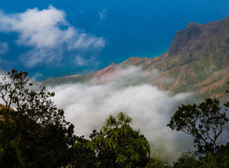 Hawaiian Landscape