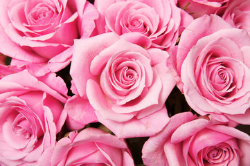 Pink Roses Background