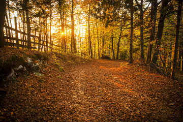 Obraz premium Autumn scene in Tuhinj valley in Slovenia