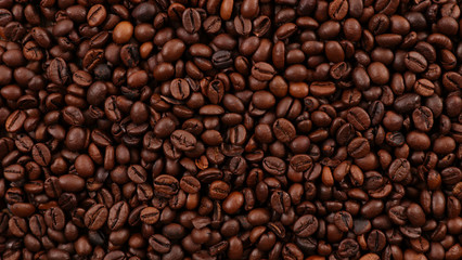 close up on coffee bean
