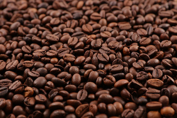 Naklejka premium close up on coffee bean