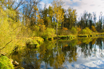 Herbst im Ried im Elsass