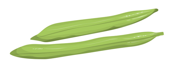 Isolated runner beans.