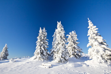 Fototapeta na wymiar Winterwunderland Weihnachten