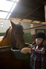 Girl feeding the horse in the stable