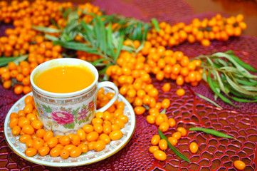 Freshly squeezed sea buckthorn juice and fresh sea buckthorn berries on branches