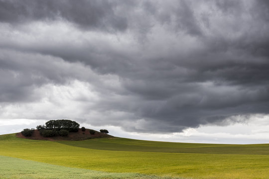 Tormenta en los campos de Valencia