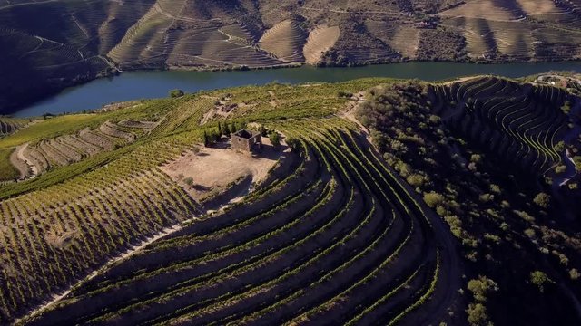 Aerial shot Alto Douro Wine Region, Douro, Portugal
