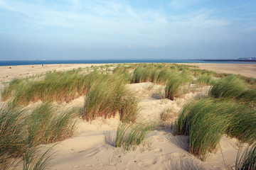 Fototapeta na wymiar plage du Galon beach in Charente maritime coast