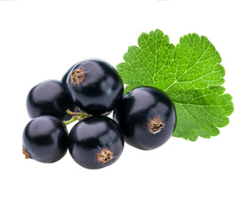 black currant with green leaf isolated on white