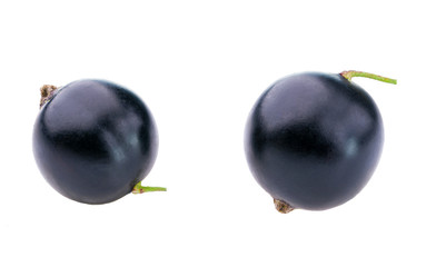 black currant berry isolated on white