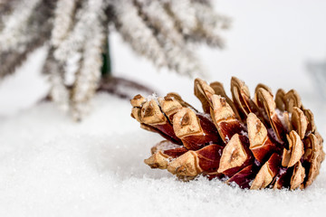 Christmas cone or strobilus in snow under snowflakes and xmas tree in background. Christmas and New Year concept. Christmas greeting card.