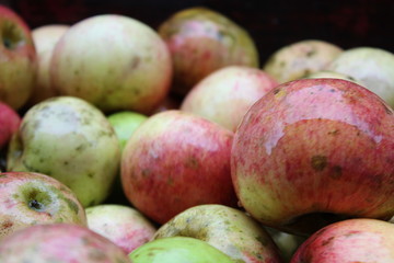 manzanas