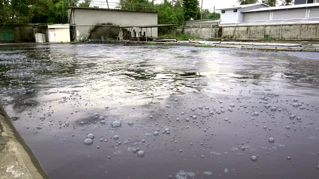 Waste water with water awaiting treatment in the pond to bile