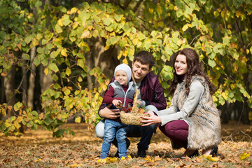 Fototapeta premium family walks, the autumn
