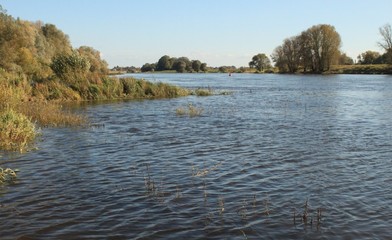 Elbufer bei Radebeul