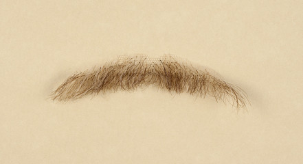 Mustache for Film and Theater Production - 178731975