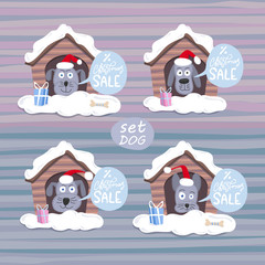 Christmas sale, vector illustration, cute dog.