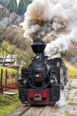 Obraz na płótnie Canvas Running wood-burning locomotive of Mocanita ( Bucovina, Romania).