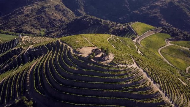 Aerial shot Alto Douro Wine Region, Douro, Portugal