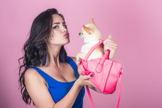 Girl owner kiss chihuahua dog in pink bag