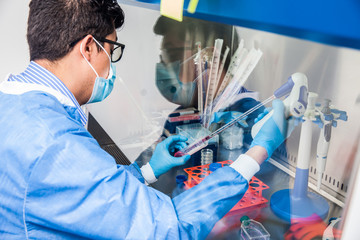 Young scientist working in a safety laminar air flow cabinet at laboratory