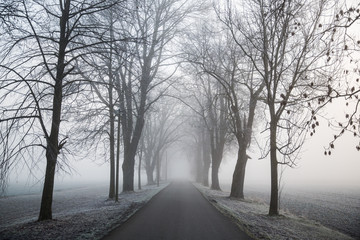 foggy parkway 2