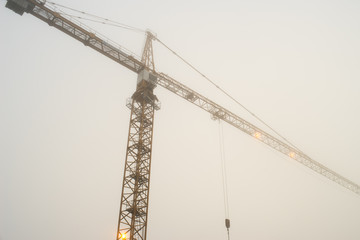 crane in fog