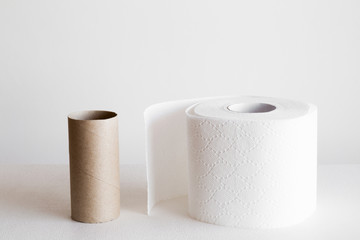 White toilet paper roll with empty roll on the gray background. Hygiene concept. Empty place for text.