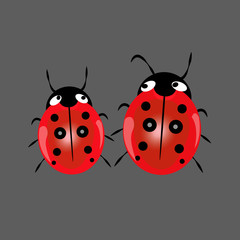 Ladybug isolated on black, vector illustration, eps-10