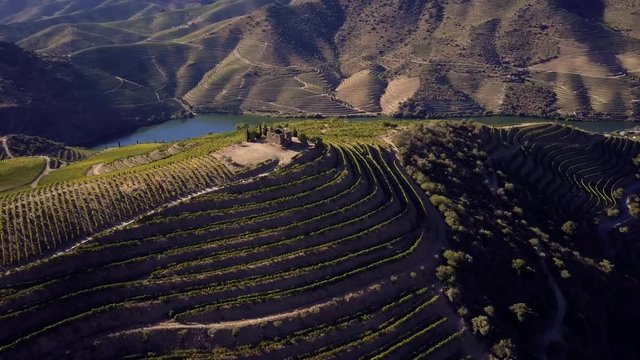 Aerial shot Alto Douro Wine Region, Douro, Portugal