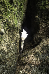 Tunnel formed from erosion of cliff wall caused by strong tidal surges in the Bay of Fundy, New Brunswick, Canada
