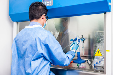 Young scientist working in a safety laminar air flow cabinet at laboratory