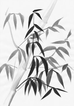 Watercolor study of bamboo leaves with a light slanted stem. Black gouache on white paper painting.
