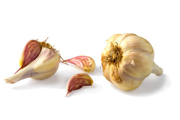Garlic set isolated on white background