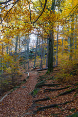 Obraz premium Jesien na zamku Chojnik