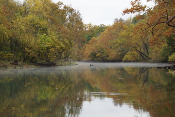 River in the fall