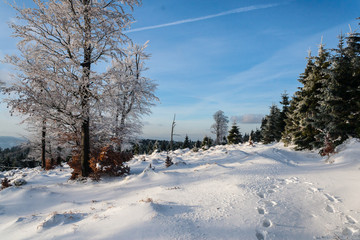 03.12.2016 Sokolec Gory Sowie fot. Marek Durajczyk © Marek Durajczyk