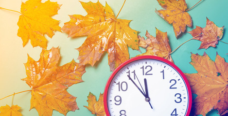 Vintage alarm clock and maple leaves