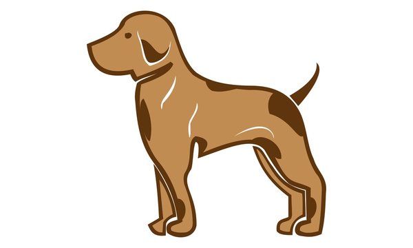design of dog images
