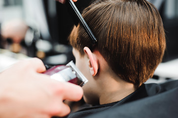 cute young boy getting a haircut