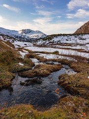 Fototapeta na wymiar Low alpine wetlands