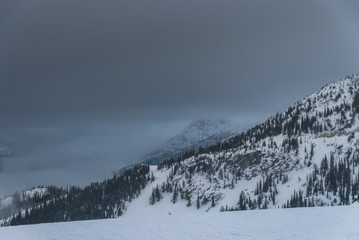 Snow covered trees on mountain top with moody skies