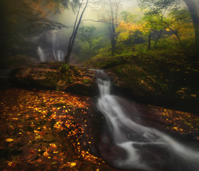 Beautiful autumn waterfall in forest. Landscape, fallen leaves, water flow.