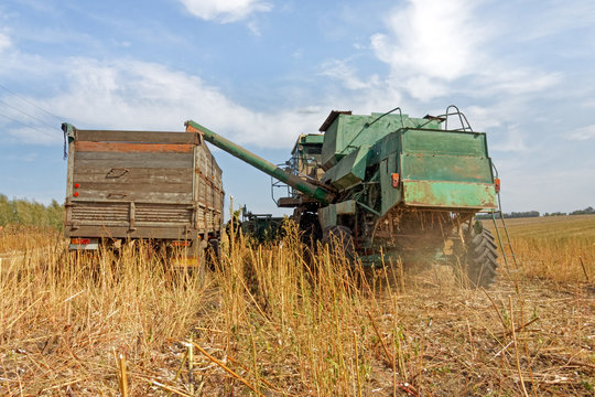 Combine harvester load sunflower seed in the truck at the time of harvest in autumn