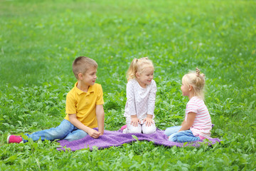 Adorable little children sitting on blanket in park