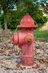 Fototapeta na wymiar red water hydrant in the park