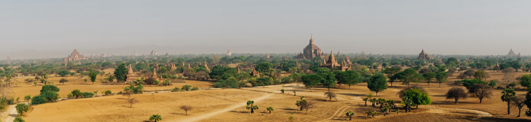 Panorama View across the Pagoda field with Trees in Bagan Myanmb