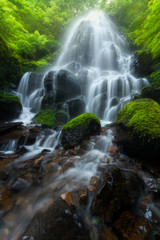 Fototapeta premium Wahkeena Falls, Oregon, USA